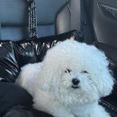 몽몽살롱 이미지