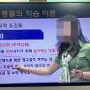 코리아 K9 애견훈련소 | 개훈련소 취업 창업에 필요한 동물조련사 자격증은??