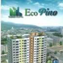 대원에코피노 이미지