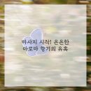로맨틱아로마 - 45802 | 로맨틱아로마
