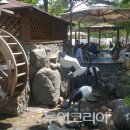 유성온천