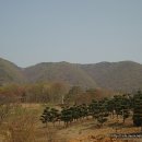 용천리 오층석탑 이미지