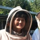 제일양봉원 이미지