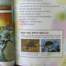 독서누리 | 누리과정 연계 유아 과학전집 꼬마과학뒤집기 6세독서