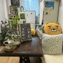 큐티도도 아카데미