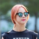 솔지오