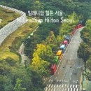 pet10어1440 | 서울 호캉스 추천 힐튼호텔 남산이 보이는 마운틴뷰(개인사진많음 주의/수영장/키즈룸)