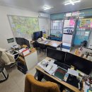 고래공인중개사사무소 | 괴정동 공인중개사 부산 부동산, 고래공인중개사사무소와의 경험