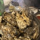 서울대포차