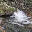 백담 새소리 펜션 | 강원도계곡펜션 백담새소리펜션 자연휴양림 안부러운 강원도가여행 숙박 숙소