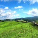 한우목장 이미지