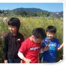 지사초등학교 이미지