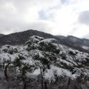 밤재마을 앞 이미지