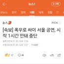 싸이 '흠뻑쇼' 폭우로 중단.gisa 이미지