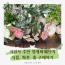 와이티디자인 | 양재 화훼공판장 단지 영업시간 휴무 식물 토분 분갈이 흙 구매하기