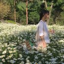 꽃향기 머무는 곳 Daum카페