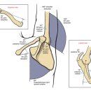 밸런스랩 근골격 운동센터 이미지