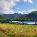 세평삼거리 이미지