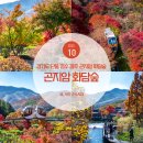 01.한내다리 B | 경기도 단풍 명소 광주 곤지암 화담숲 시간 모노레일 예약 방법