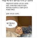도림세탁소 | [ Answer / 2023. 11. 19. ]