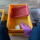 음성 비상일체 1호 | 급성 신우신염 후기,, 염증걸의 기록 (1) 응급실편