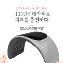 셀럭시