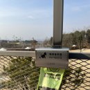 댕그라운드 이미지