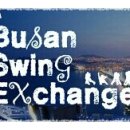 Busan Swing Exchange 2013 2차 신청 이미지