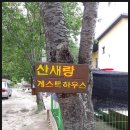 산새랑 게스트하우스 이미지