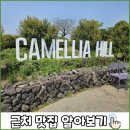 카멜리아힐 제주 5월 방문 후기 (근처 맛집 및 소요 시간, 입장료)