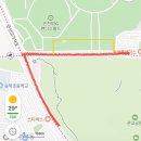 북촌손만두안양하이필드점 | [기아 직관일기 13] vs SSG 랜더스 250622 (랜더스필드)