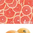 진'S푸드