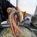 대성 | 한국인의밥상 당진 대성포장마차 해물칼국수 솔직후기