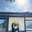 거금아일랜드펜션 | 전남 보성 아이랑 보성독채펜션 감성숙소 동백마루