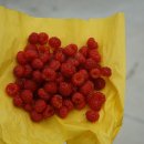 밤골민박 이미지