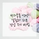 송파바로동물병원 이미지