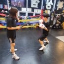 Bee Boxing Gym 이미지