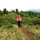 노루오름 이미지