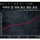 파속식물 부추,삼채의 항암 효과와 유황의 효과 이미지