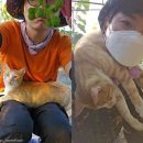 상식농장 이미지