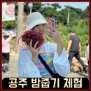 월산농장 | 공주 밤줍기체험 끝판왕 등장! 농장에서 밤 줍고 고추장도 만들고?