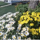 푸른하늘펜션2 이미지