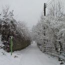 동막2농장 이미지