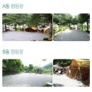 [솔향기 펜션&amp;캠핑장] 강원도 오토캠핑장, 차박, 캠핑, 가을캠핑, 솔향기 펜션 캠핑