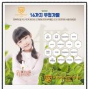 송정동초교병설유치원 | 신촌동 성산로 "위버지니어스 서대문점" 메르스, 독감 예방 천연 살균 소독 후기 / 어학원 소독 키카...