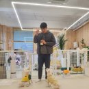 힐링멍텔 이미지