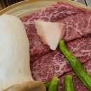 진천장미공원 이미지