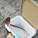 조아마트 이미지