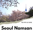 푸디스트(주)서울종합방재센터 | 서울 데이트 남산 공원 남산 둘레길 벚꽃 산책로