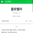 콩국수믈리에
